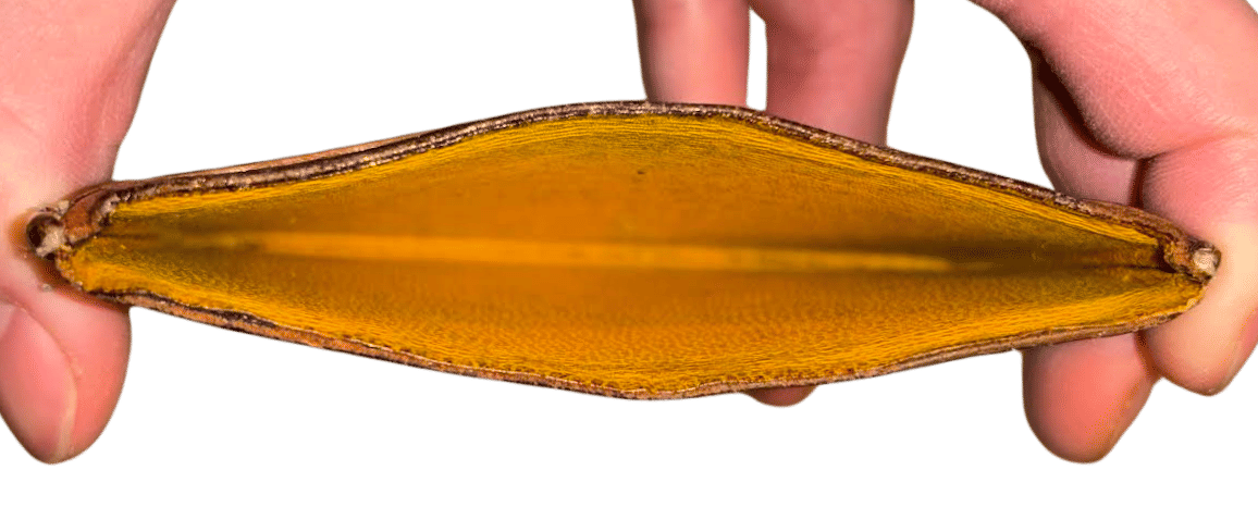 Goyard Saint Sulpice Black Natural Hand Painted - Pre-Owned