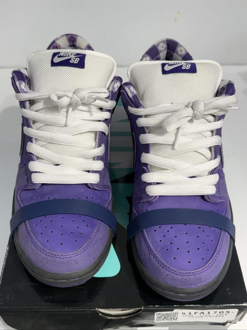 Nike SB Dunk Low Concepts Purple Lobster - Lightly Used size 10