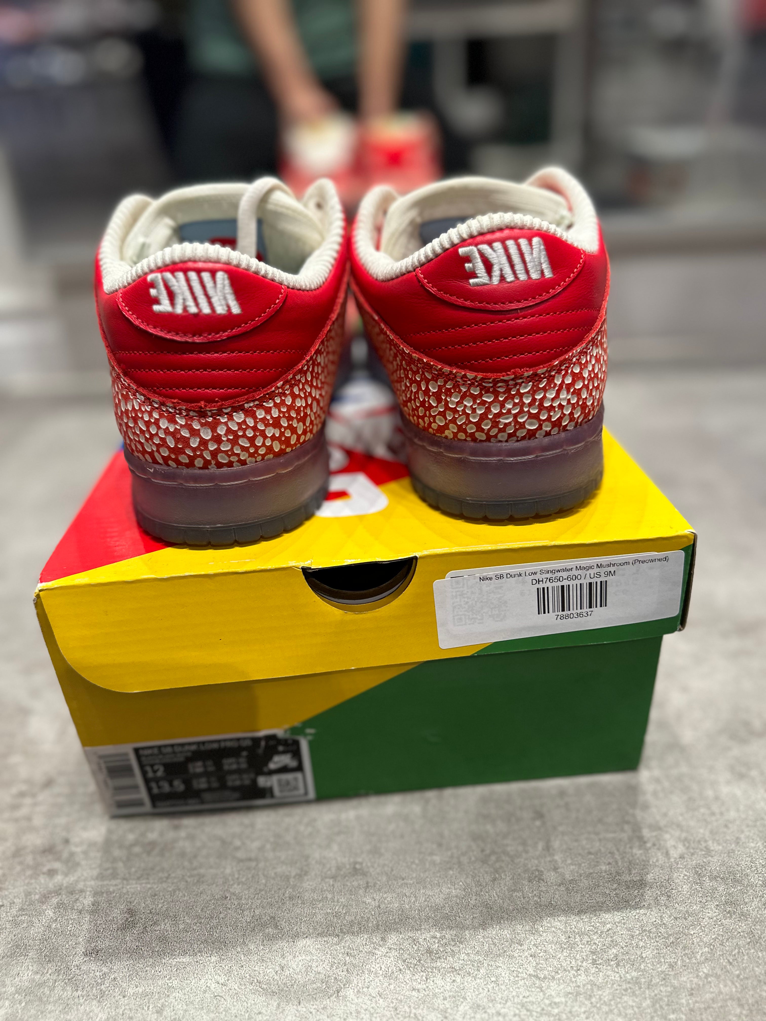 Nike SB Dunk Low Stingwater Magic Mushroom (Preowned)