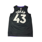 Nike Toronto Raptors Pascal Siakam Jersey Purple (Preowned)