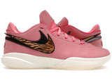 Nike LeBron 20 South Beast