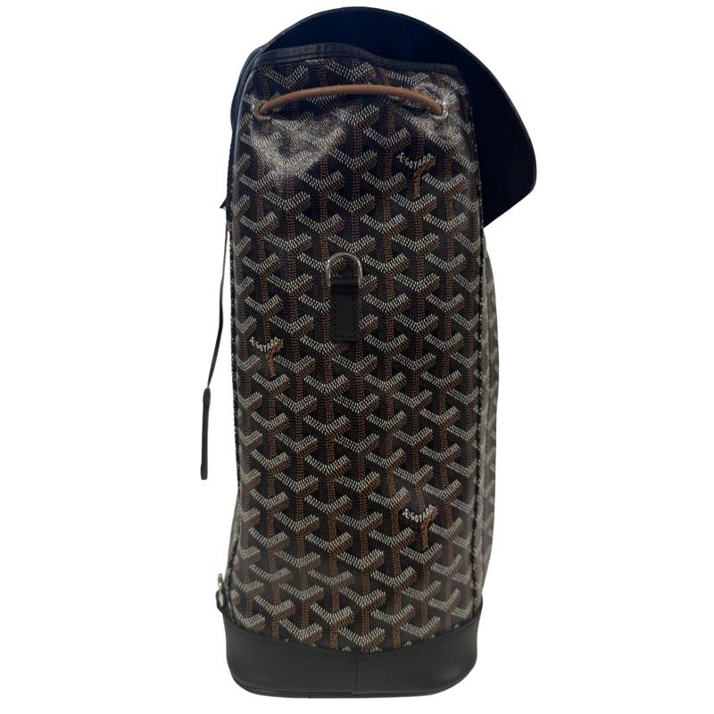 Goyard Alpin MM Backpack Black - Worn Once