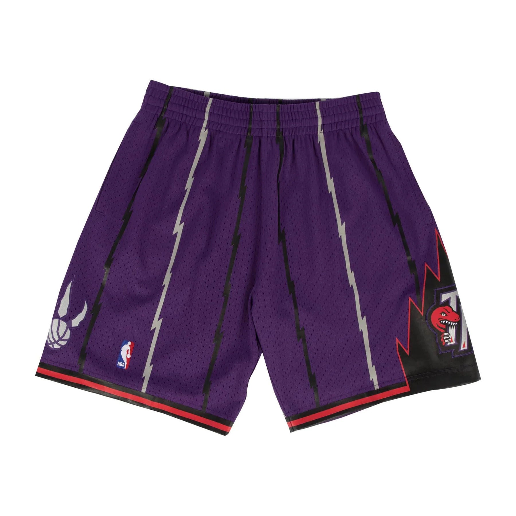 Mitchell & Ness NBA Raptors Swingman Shorts Purple