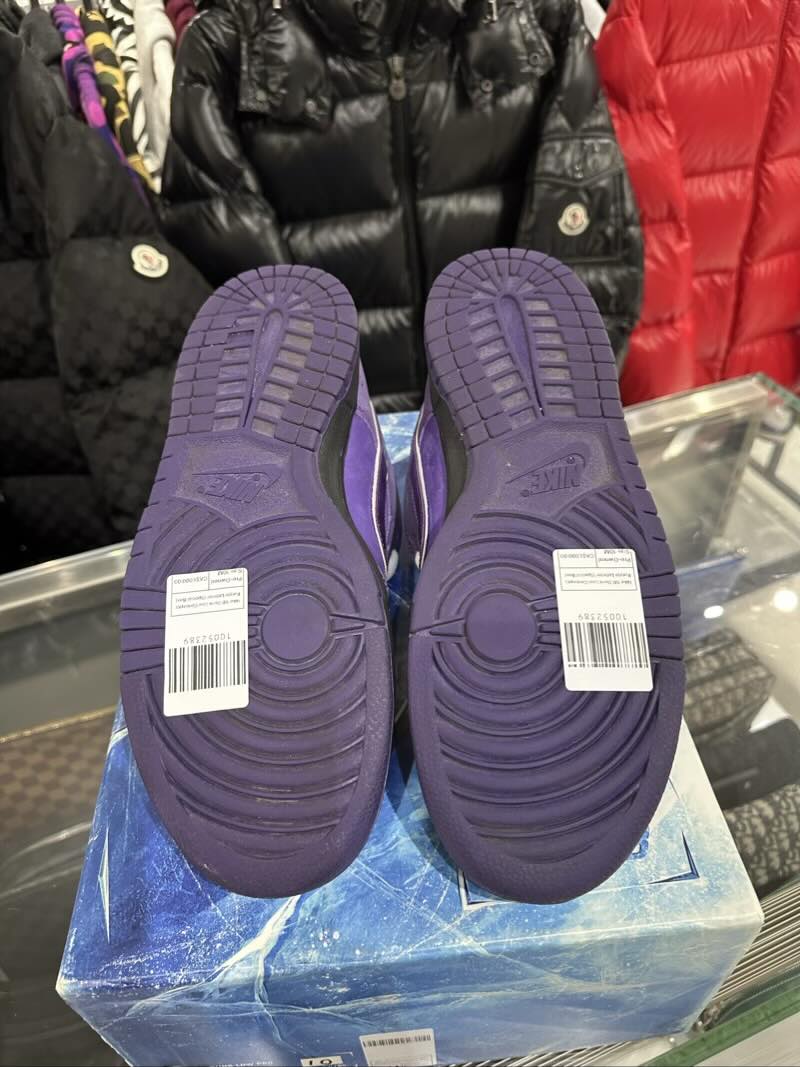 Nike SB Dunk Low Concepts Purple Lobster (Special Box) - Pre-Owned Size 10M