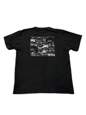 Kaws X Uniqlo X Sesame Street XX Graphic T-Shirt Black (Preowned) - Pre-Owned