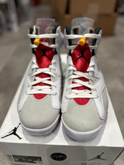 Jordan 6 Retro Hare (Preowned Size 9.5)