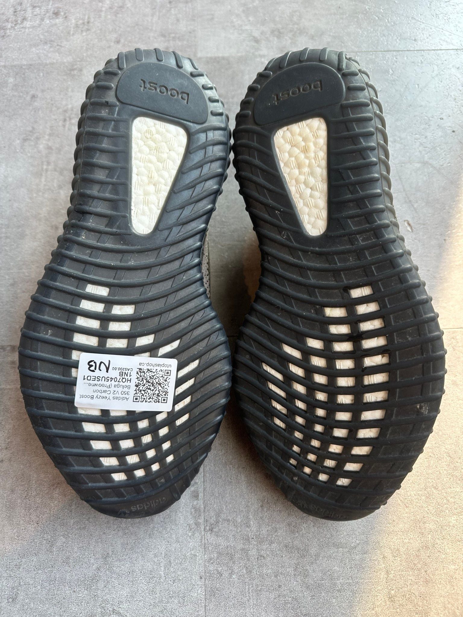 Adidas Yeezy Boost 350 V2 Carbon Beluga - Pre-Owned Size 11 (No original box)