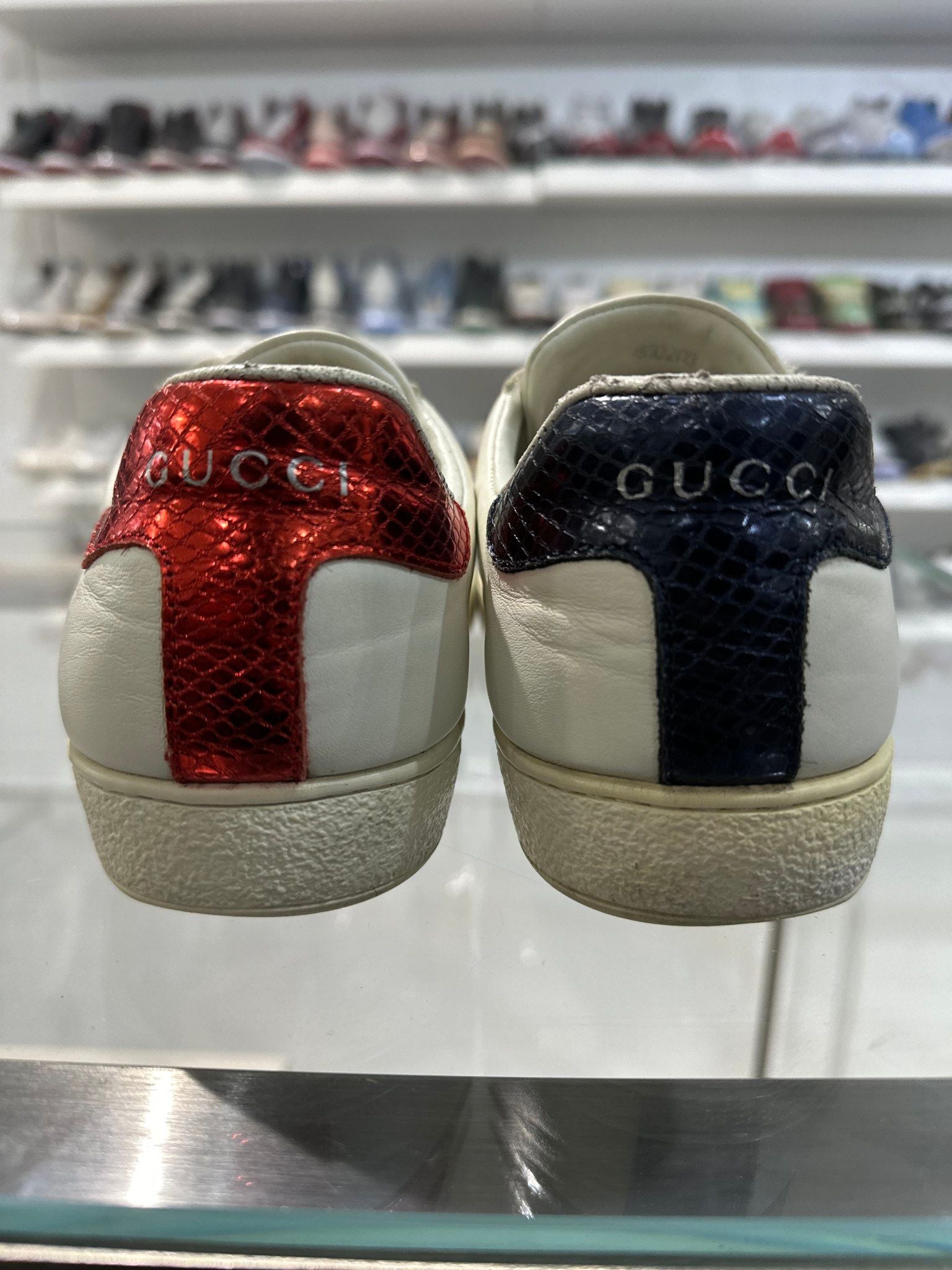 Gucci Ace Snake (Women's) - Pre-Owned Size 40 (No original box)
