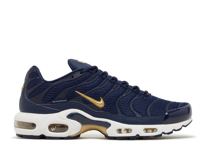 Nike Air Max Plus FFF (French Football Federation)