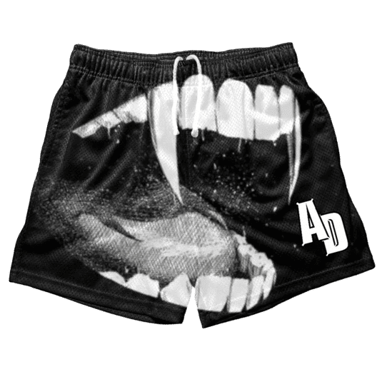 Awoken Dreams Mesh Vamp Shorts, brand new