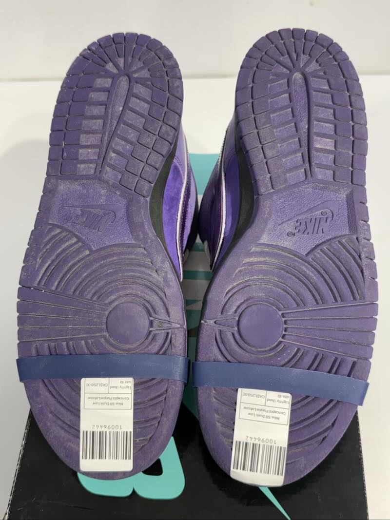 Nike SB Dunk Low Concepts Purple Lobster - Lightly Used size 10