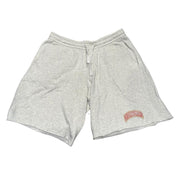 Dior Denim Tears Grey Embroidered Logo Shorts (Lightly Used Size XL) - Pre-Owned