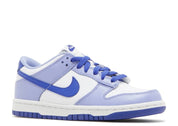 Nike Dunk Low Blueberry (GS)