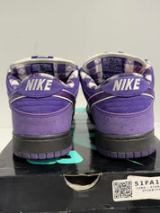 Nike SB Dunk Low Concepts Purple Lobster - Lightly Used size 10