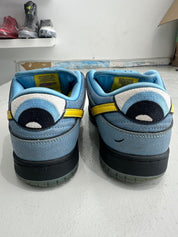 Nike SB Dunk Low The Powerpuff Girls Bubbles - Pre-Owned Size 9 (No original box)
