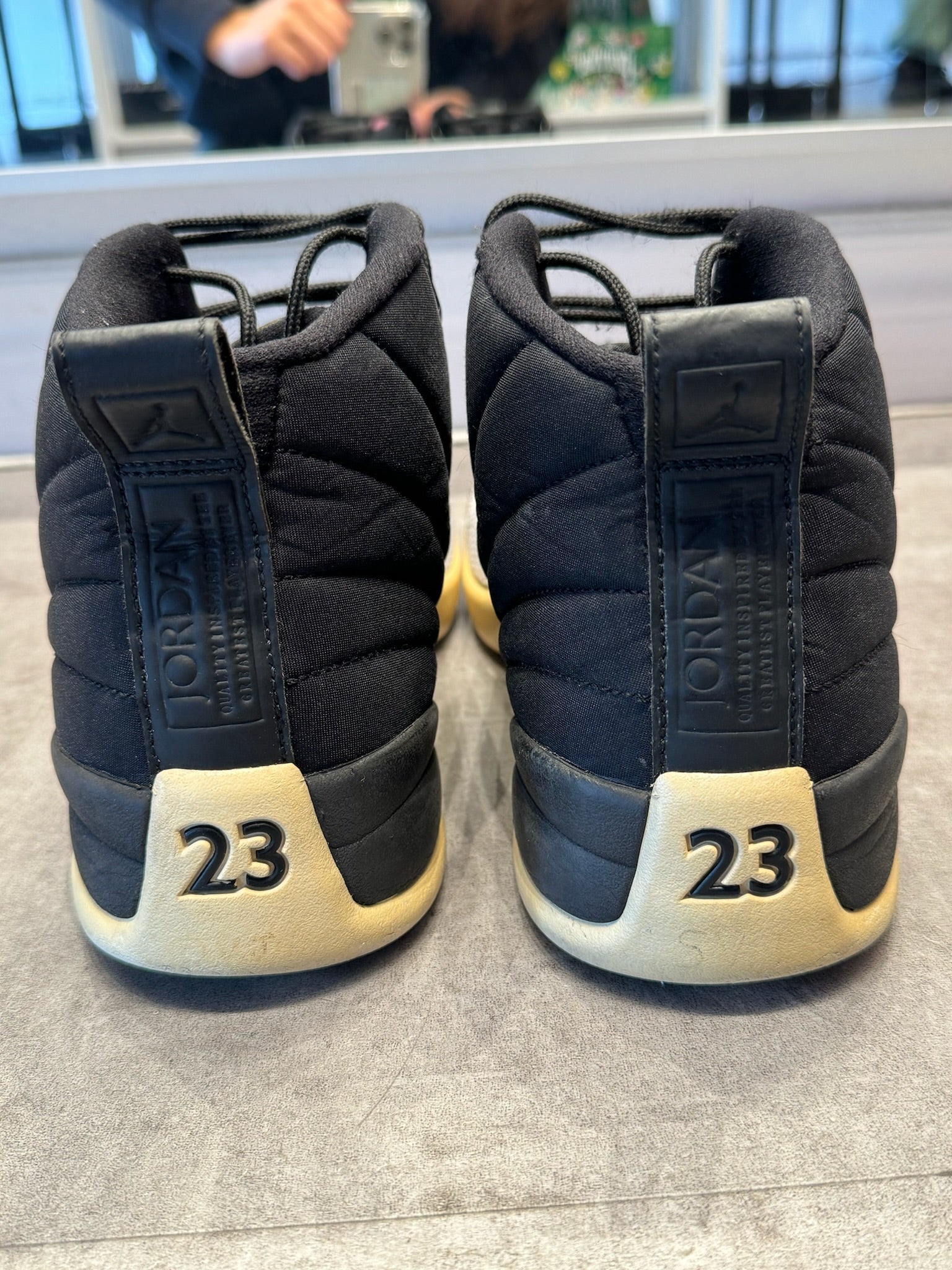 Jordan 12 Retro Nylon (Preowned Size 10.5)