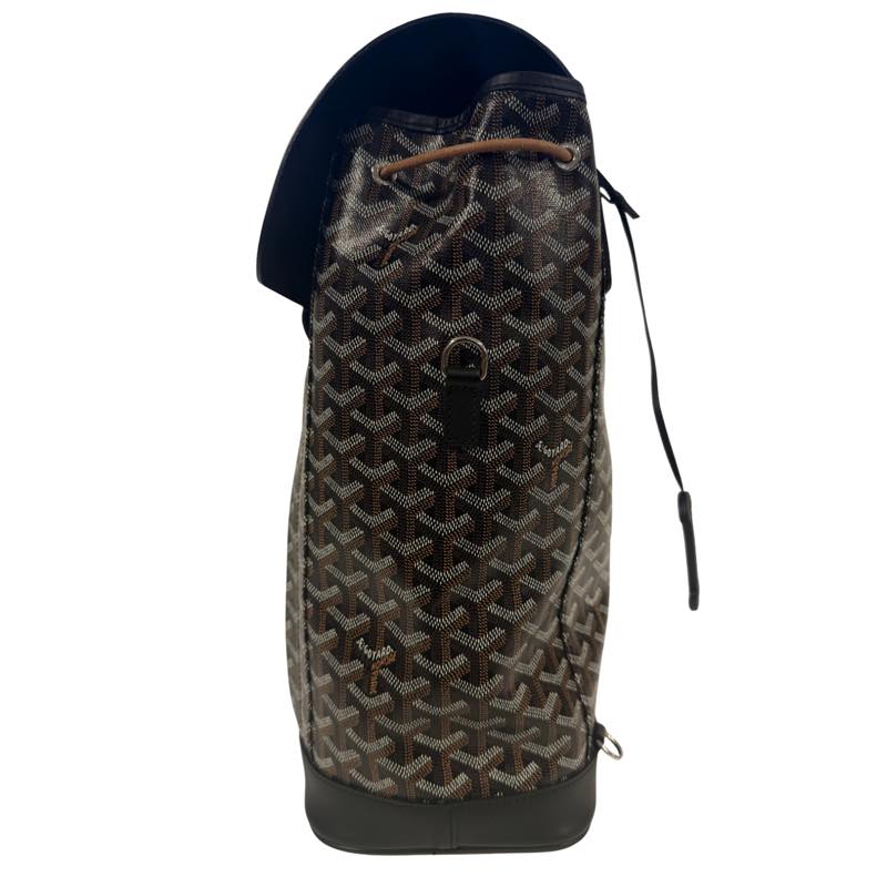 Goyard Alpin MM Backpack Black - Worn Once, brand new – photo 4 of 7