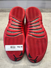 Jordan 12 Retro Gym Red (2018) (Preowned)