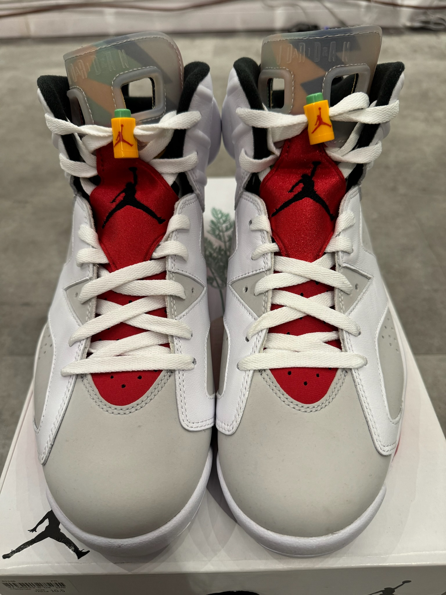 Jordan 6 Retro Hare (Preowned)