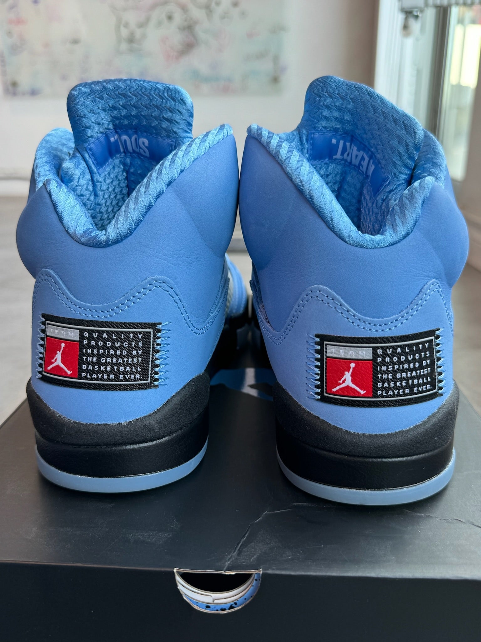 Jordan 5 Retro SE UNC (Preowned)