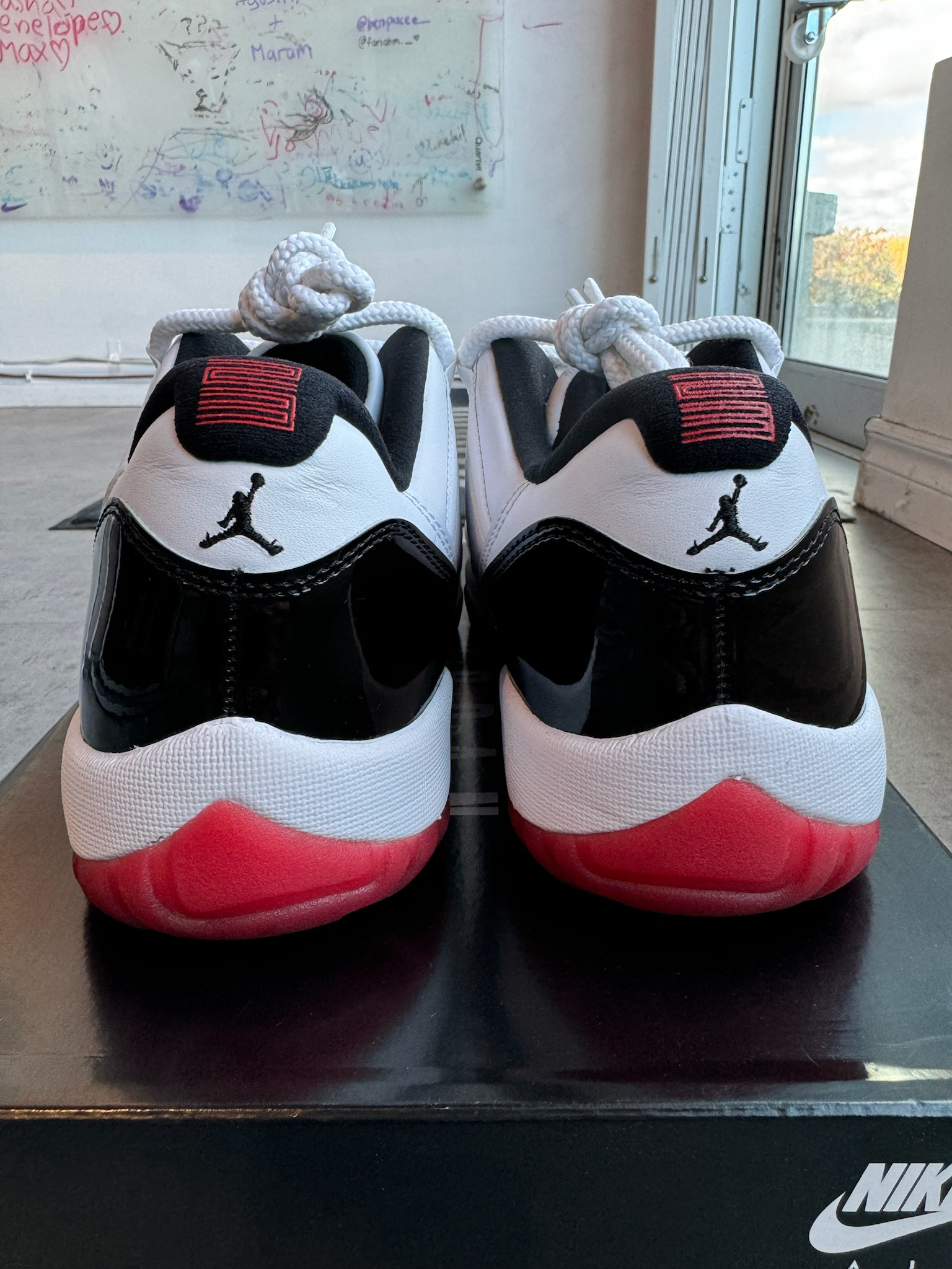 Jordan 11 Retro Low Concord Bred (Preowned Size 10.5)