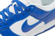 Nike Dunk Low SP Kentucky (2022)