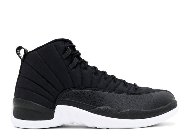 Jordan 12 Retro Nylon (Preowned Size 10.5)