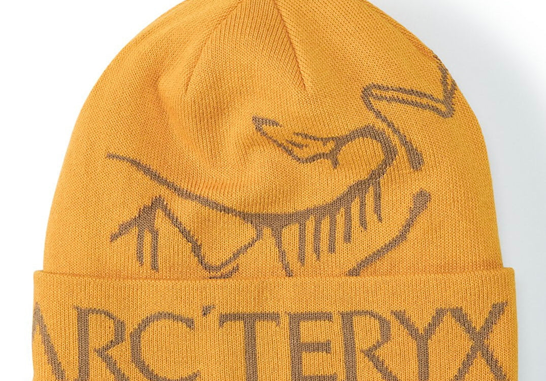 Arcteryx Bird Word Beanie Chestnut