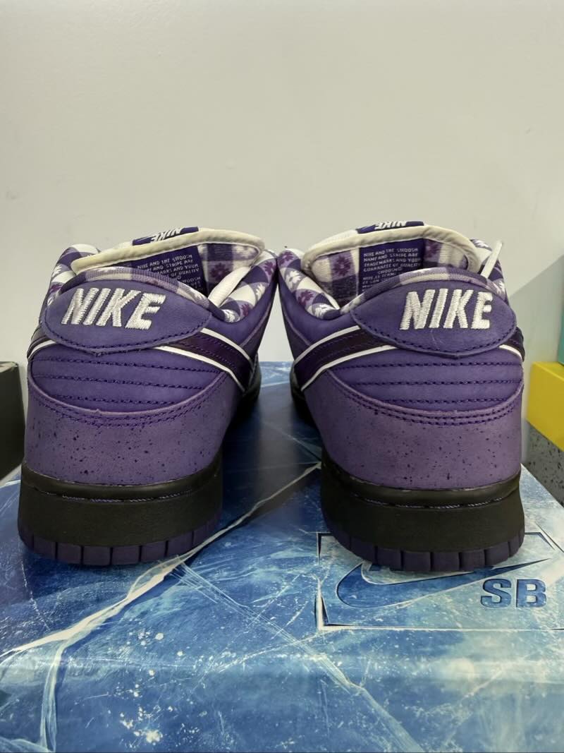 Nike SB Dunk Low Concepts Purple Lobster (Special Box), pre-owned, US Men's 10 – photo 6 of 7
