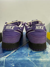 Nike SB Dunk Low Concepts Purple Lobster (Special Box), pre-owned, US Men's 10 – photo 6 of 7