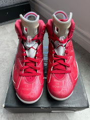 Jordan 6 Retro Slam Dunk (Preowned)