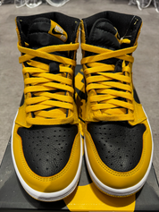 Air Jordan 1 Retro High Pollen (Preowned Size 9)