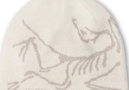 Arcteryx Bird Head Beanie Arctic Silk