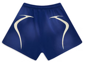 Hellstar Warm Up Shorts Blue