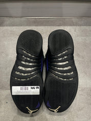 Jordan 12 Retro Dark Concord (Preowned Size 9.5)