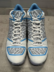 Jordan XX9 Pantone (Preowned)