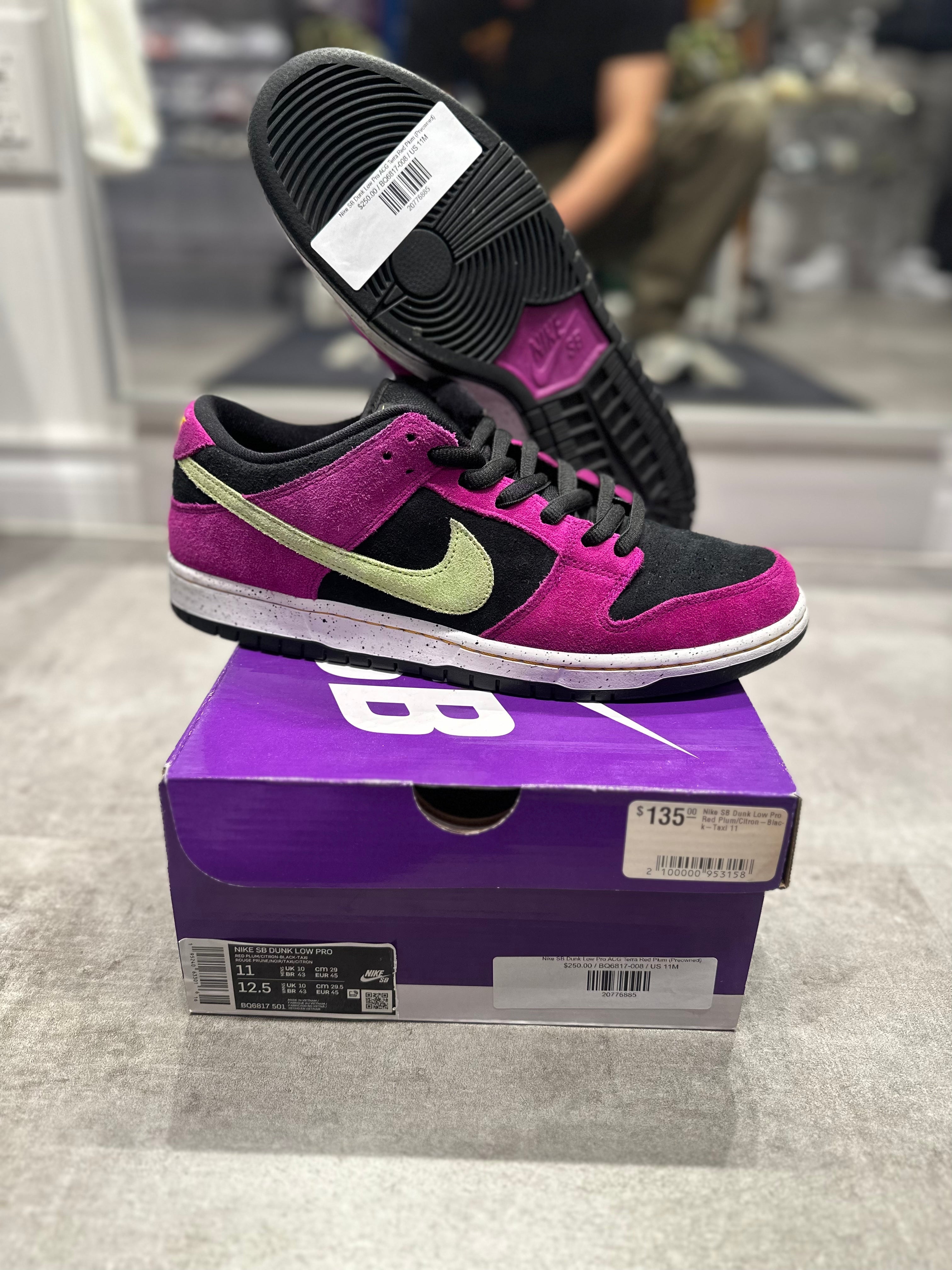 Nike SB Dunk Low Pro ACG Terra Red Plum (Preowned)