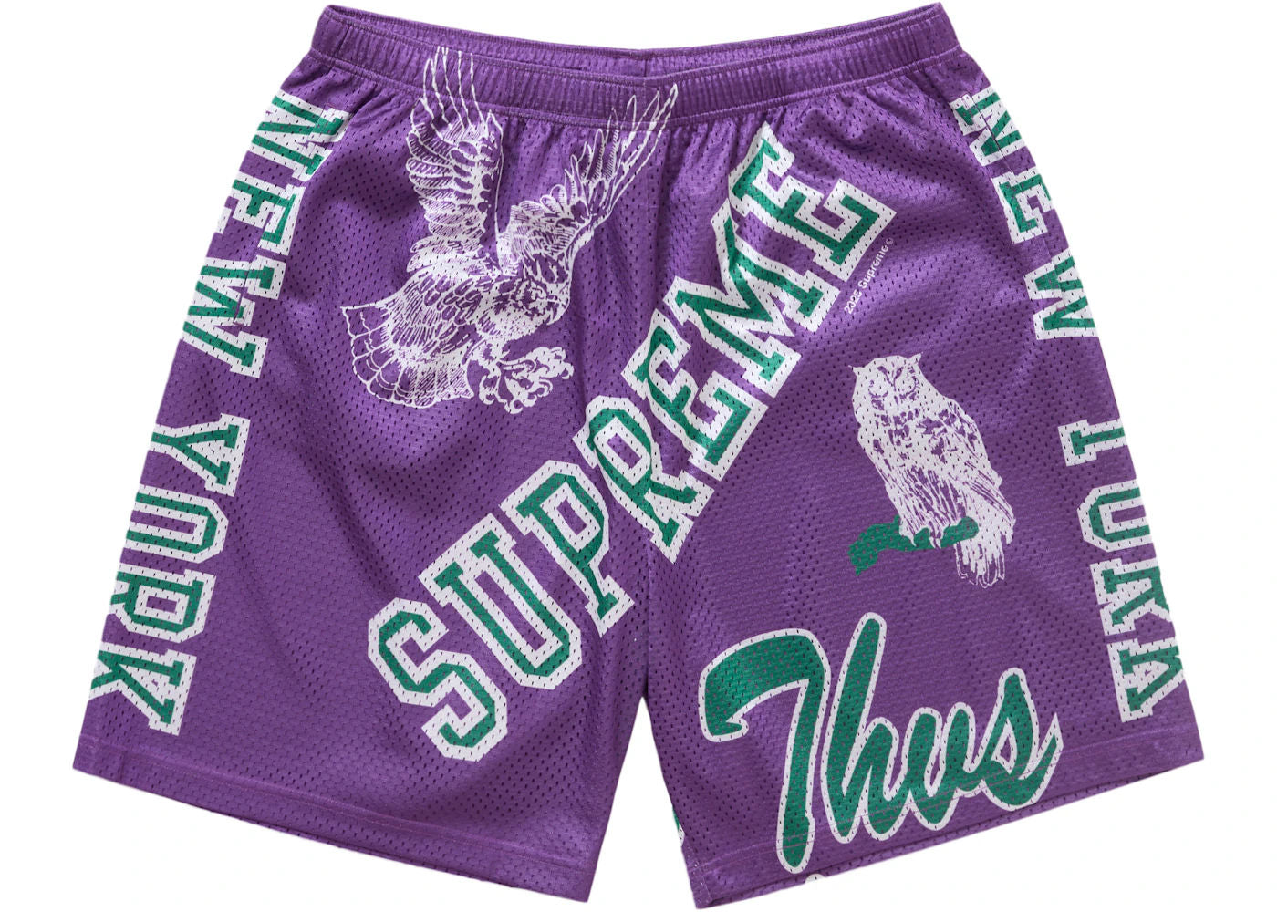Supreme Varsity Mesh Short Purple, brand new, size S