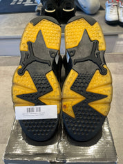 Jordan 6 Retro Lakers (Preowned)