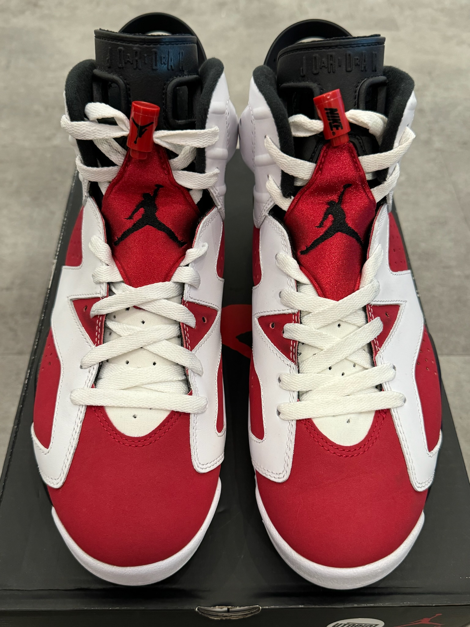 Jordan 6 Retro Carmine (2021) (Preowned Size 9)