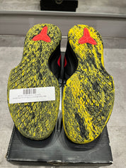 Nike Kobe Mamba Fury Bruce Lee (Preowned)