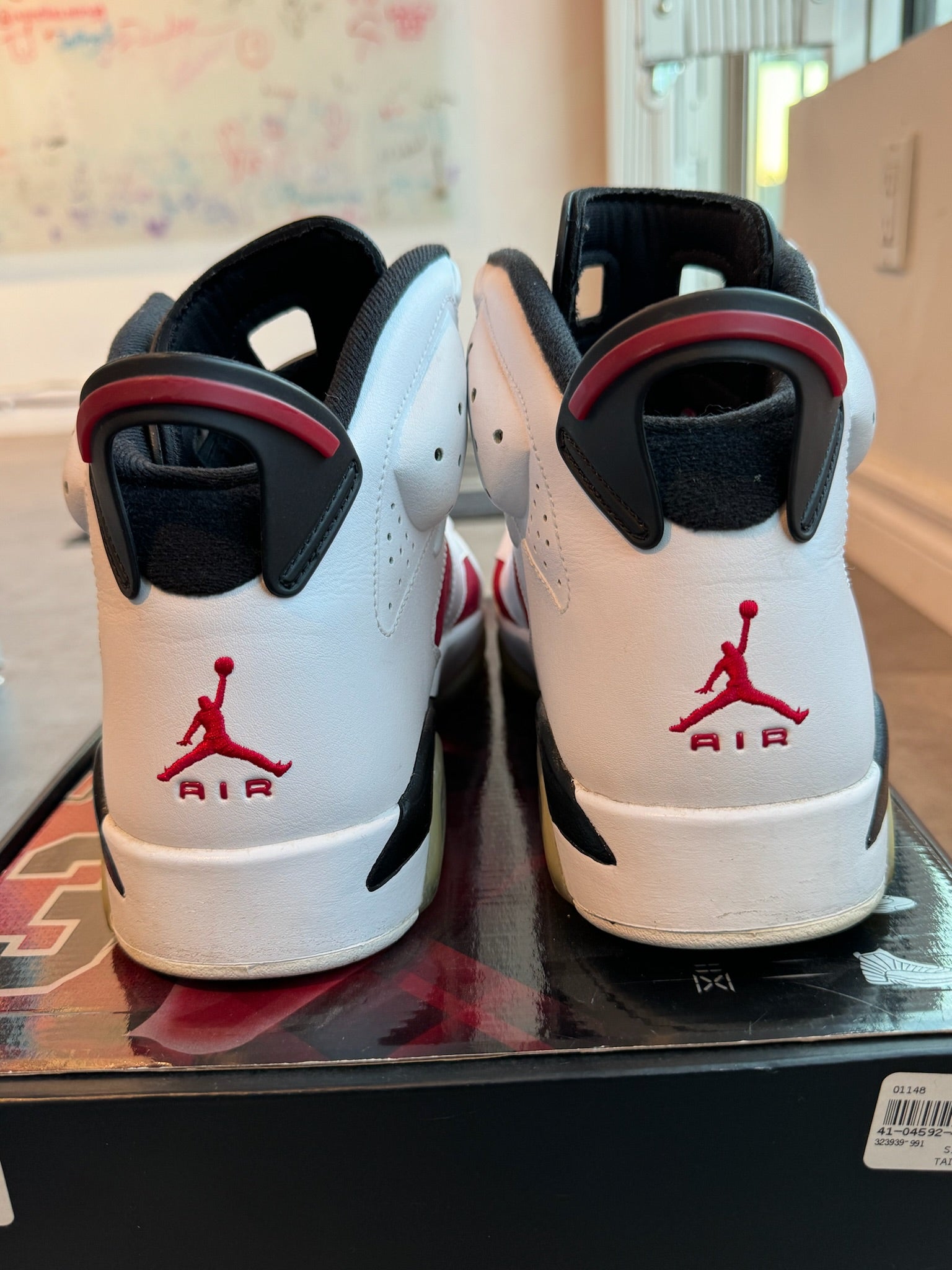 Jordan 6 Retro CDP Carmine (2008) (Preowned)