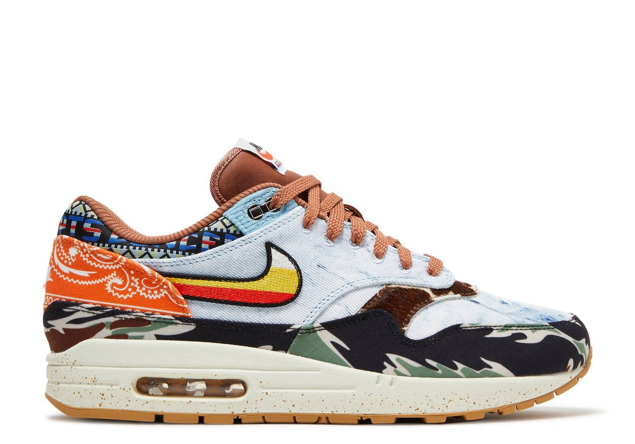 Nike Air Max 1 SP Concepts Heavy